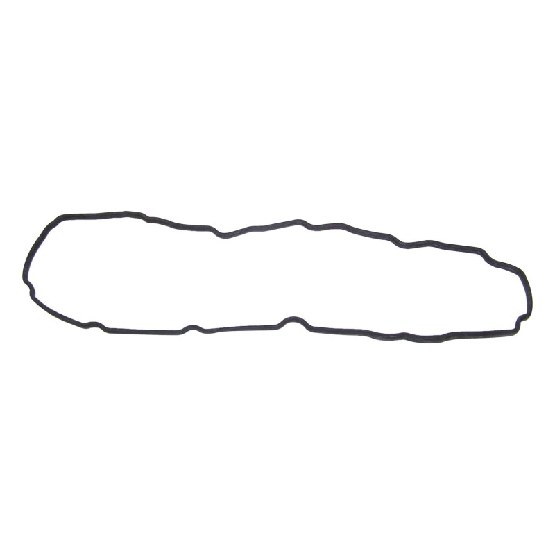 Valve Cover Gasket 53021843AA