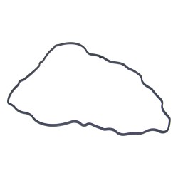 Valve Cover Gasket 53022008AA