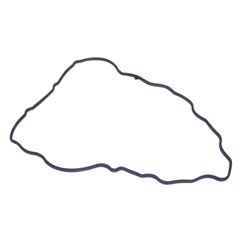 Valve Cover Gasket 53022008AA