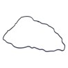 Valve Cover Gasket 53022008AA