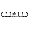 Valve Cover Gasket Kit 53020758K