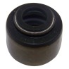 Valve Seal 53009886