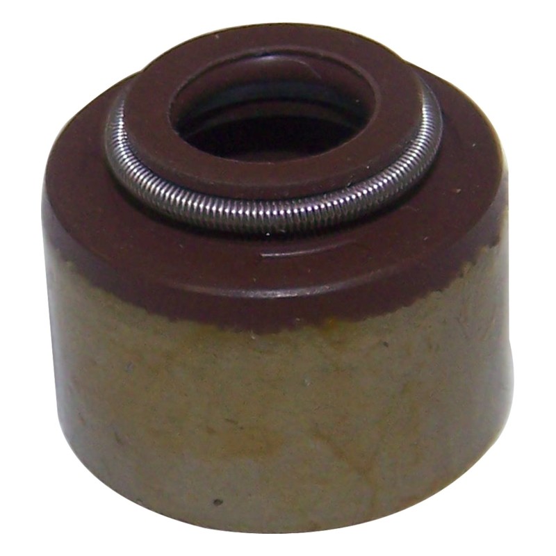Joint de soupape 53009887