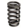 Valve Spring 4781588AC