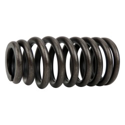 Valve Spring 5184060AN