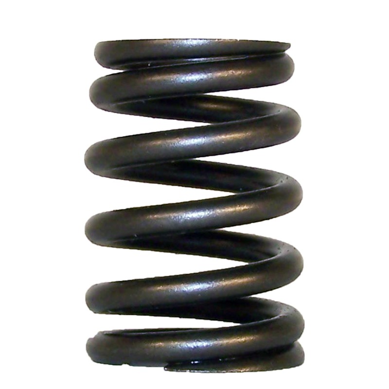 Valve Spring 53010388