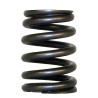 Valve Spring 53010388