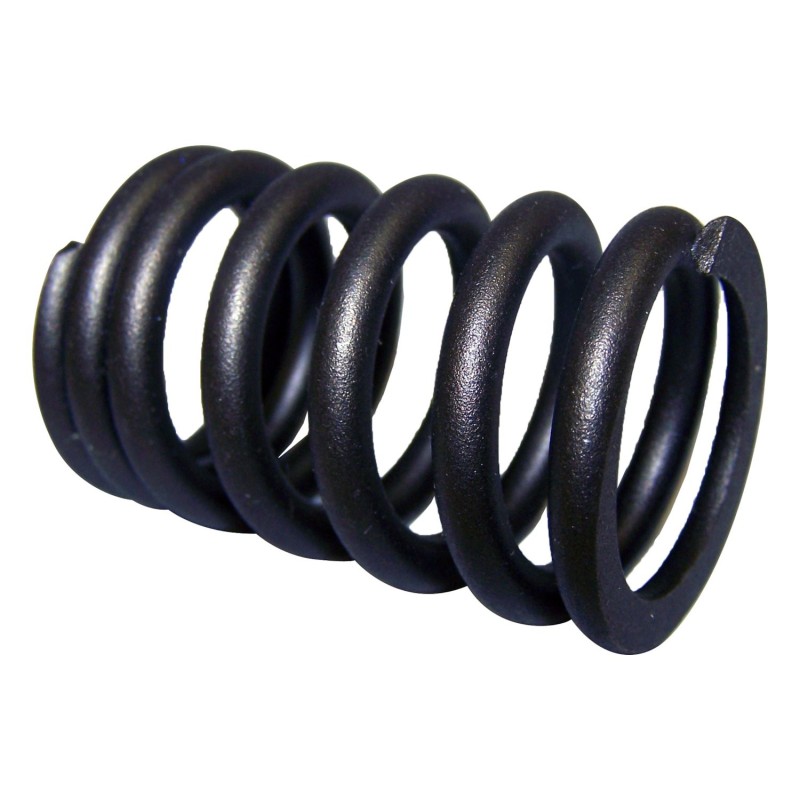Valve Spring J3213609
