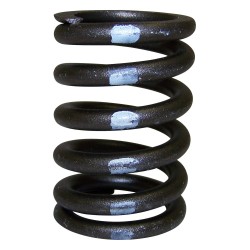 Valve Spring J3228192