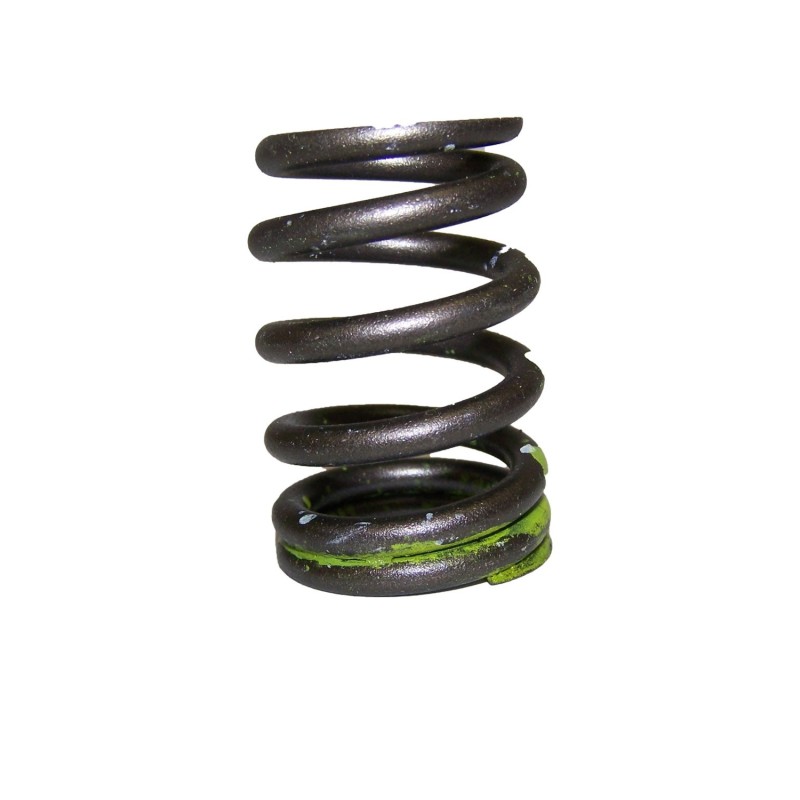 Valve Spring 53021056