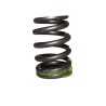 Valve Spring 53021056