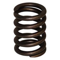 Valve Spring J3242678