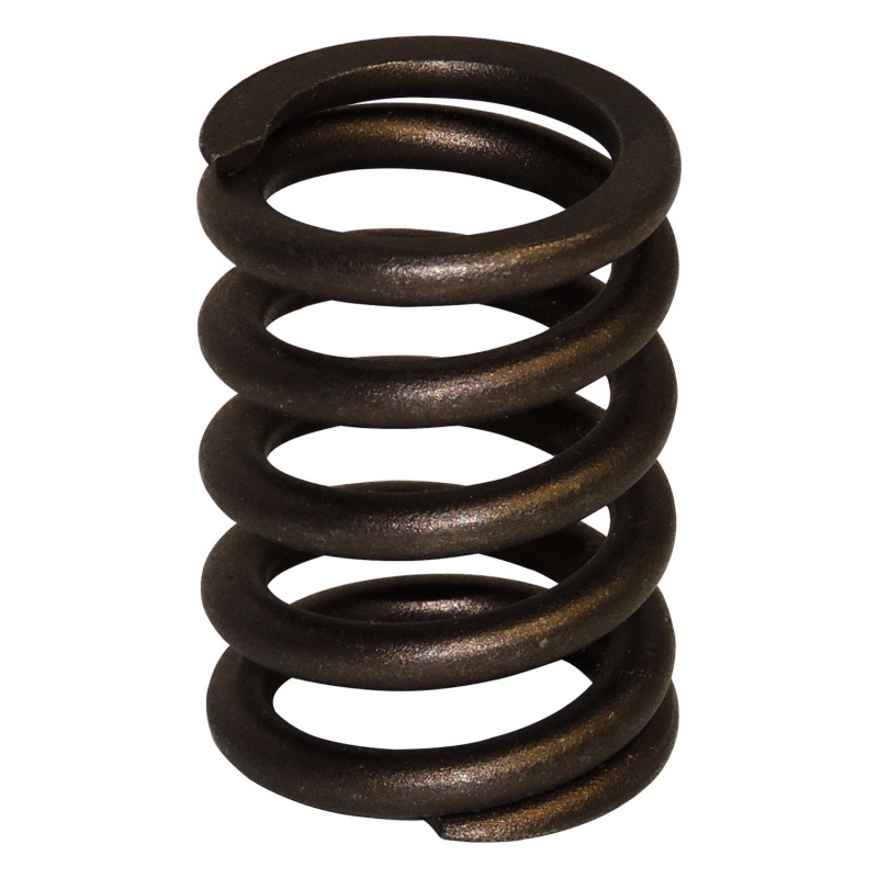 Valve Spring J3242678