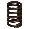 Valve Spring J3242678