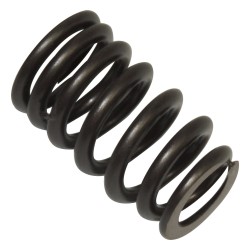 Ressort de soupape 53020749AC