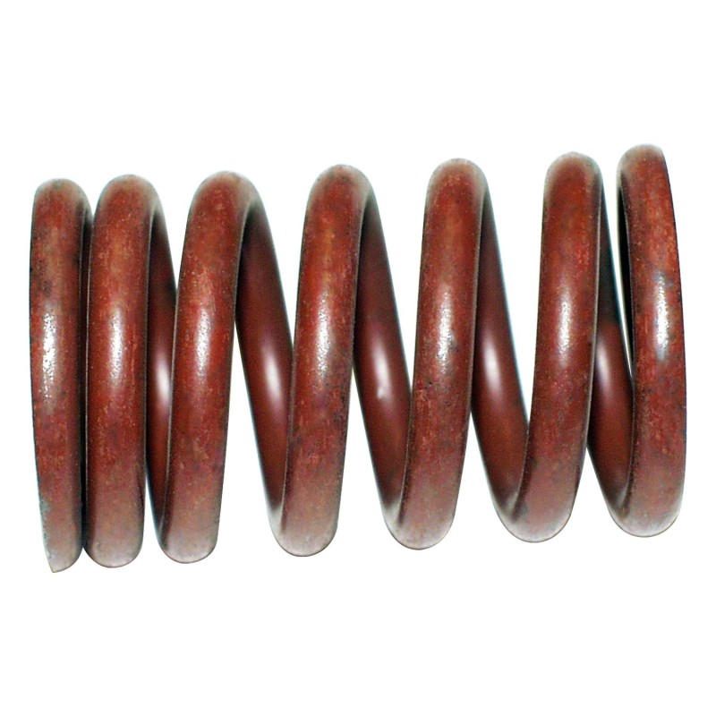 Valve Spring J0800417