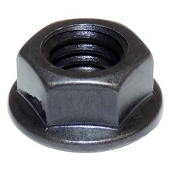 Noix J4007177
