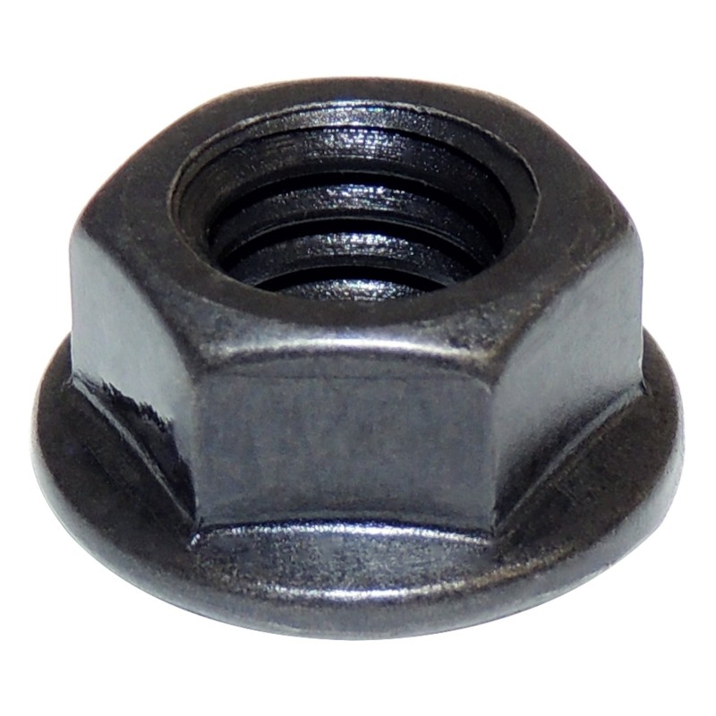 Noix J4007177