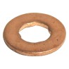 Fuel Injector Seal 5072722AA