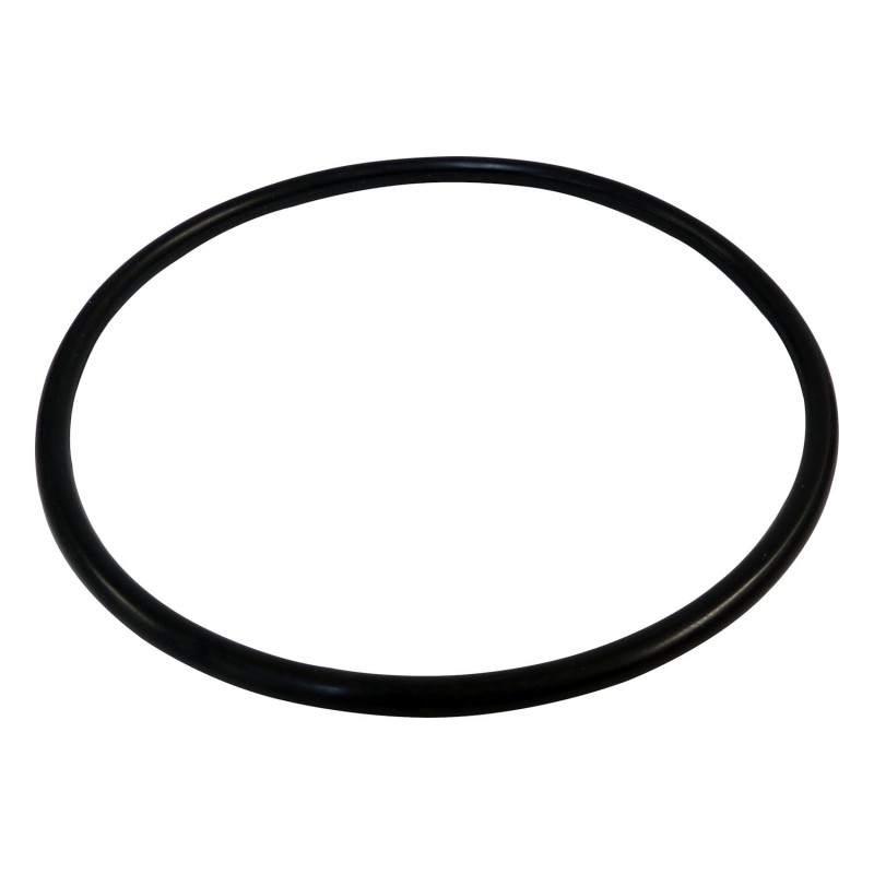 Fuel Module Seal 55366298AA