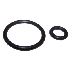 Fuel Pressure Regulator O-Ring Set 4418903