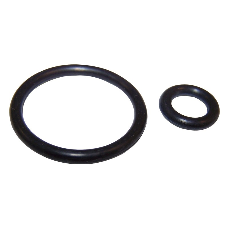 Fuel Pressure Regulator O-Ring Set 4418903