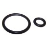 Fuel Pressure Regulator O-Ring Set 4418903
