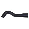 Fuel Vent Hose 52040081