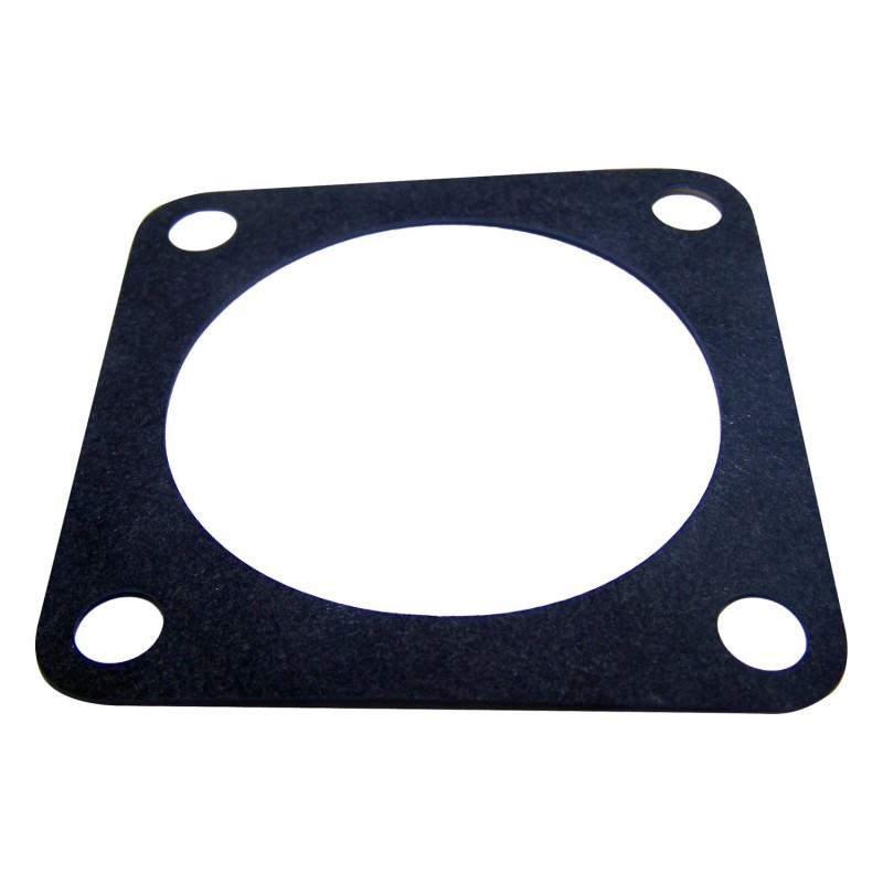 Throttle Body Gasket 53007543