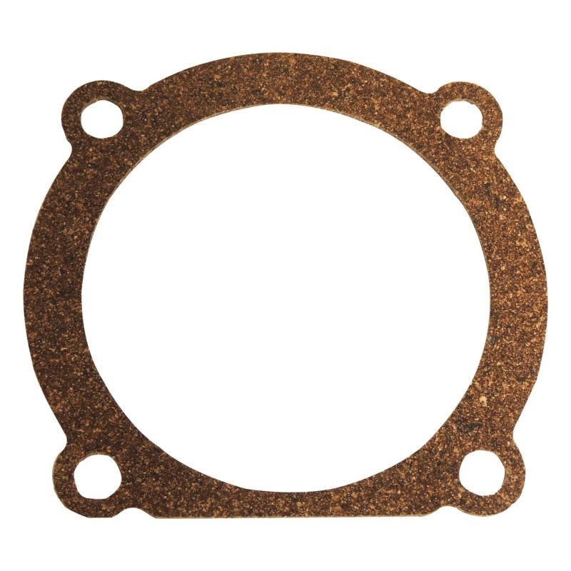 Throttle Body Spacer Gasket RT35007G