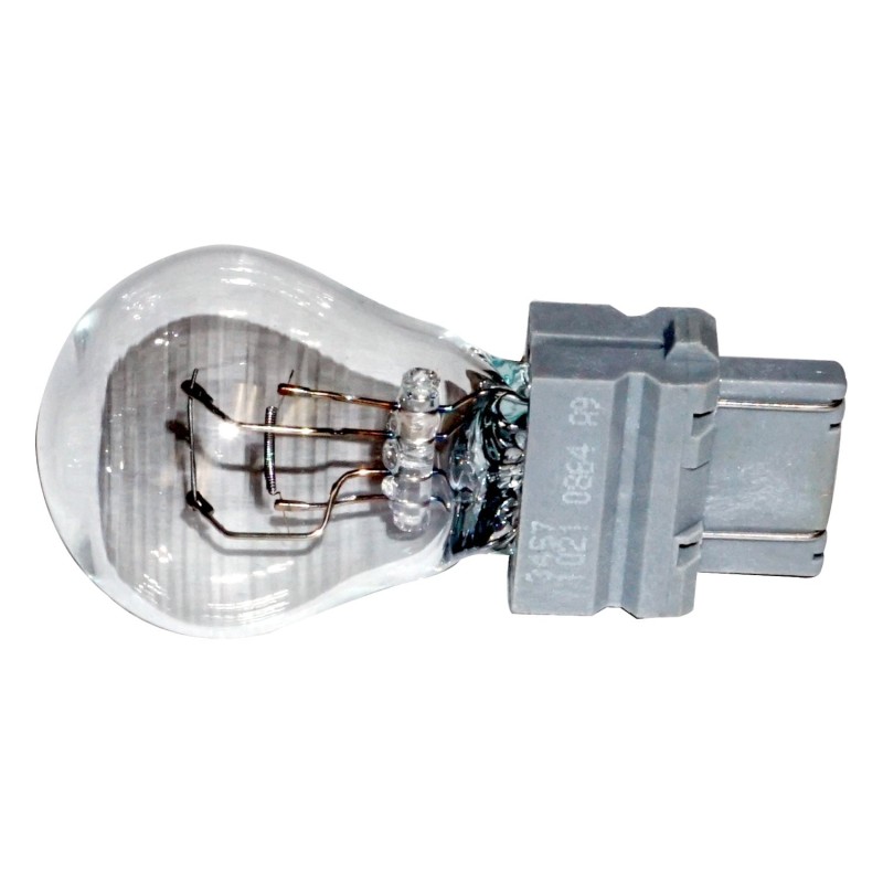 Ampoule L0003457