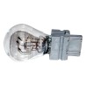 Ampoule L0003457