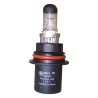 Bulb 4388238