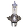 Bulb L00H460W
