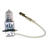 Bulb 4713586