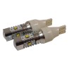 LED Bulb Kit RT28069