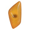 Lumière de répétiteur latéral 55155461AC