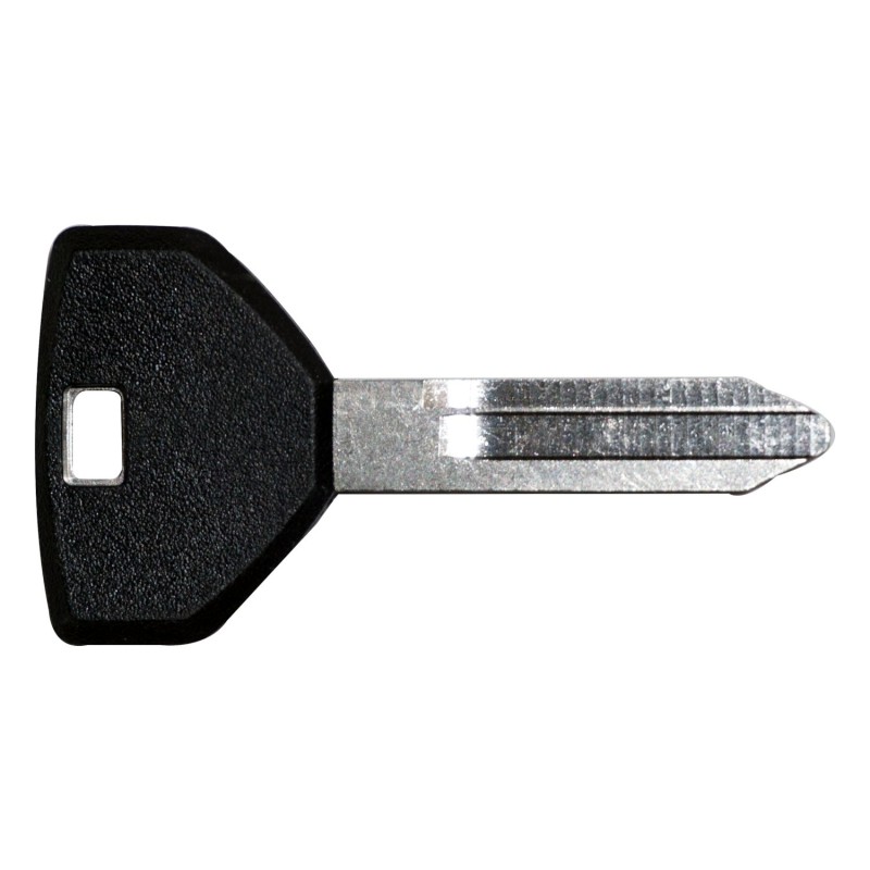 Clé vierge 4720933