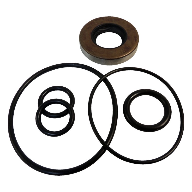 Power Steering Pump Seal Kit 4728247