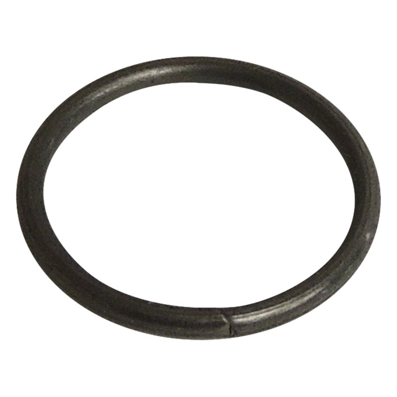 Retaining Ring 2925062
