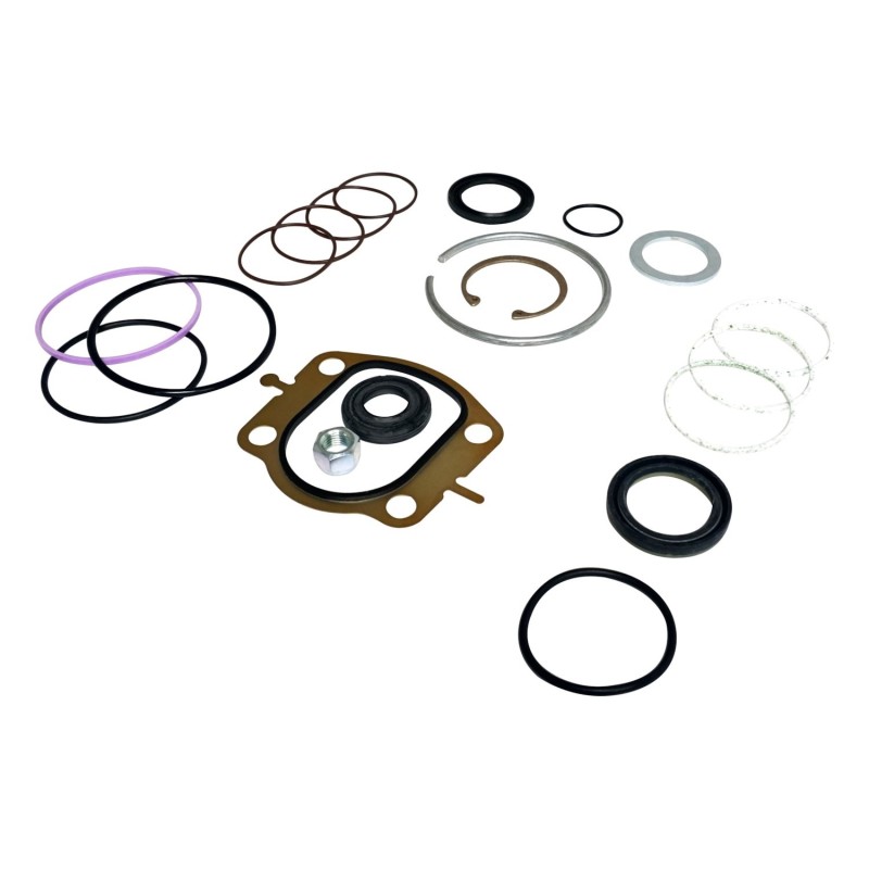 Steering Box Master Seal Kit 4470365MK