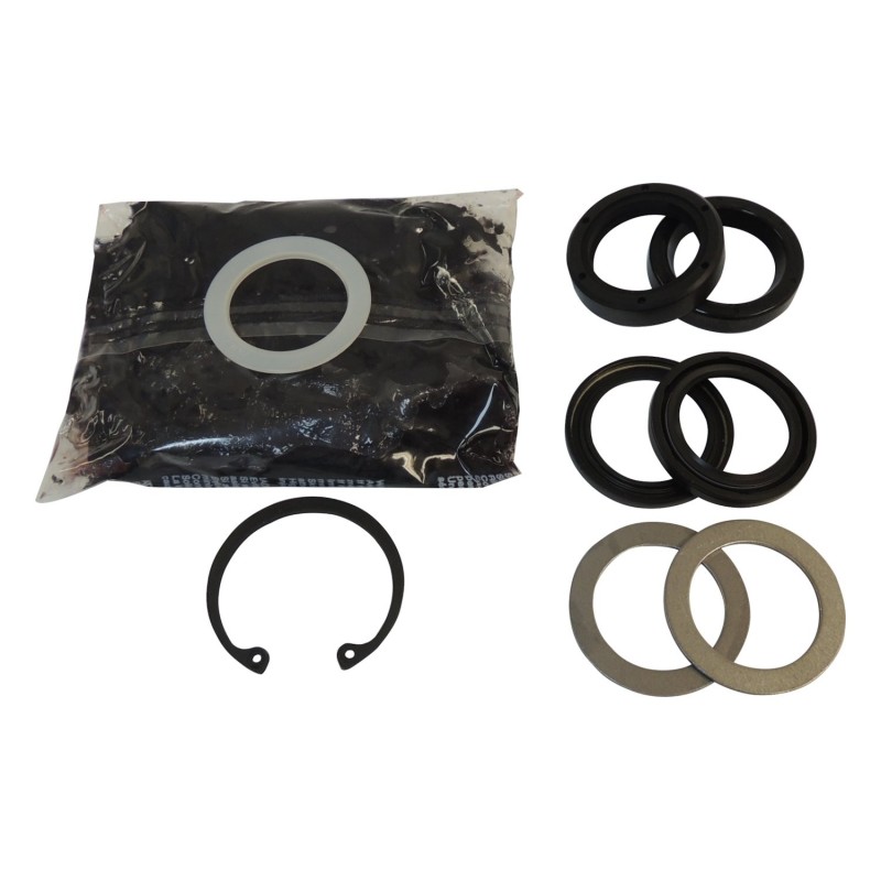 Steering Box Seal Kit 4470365