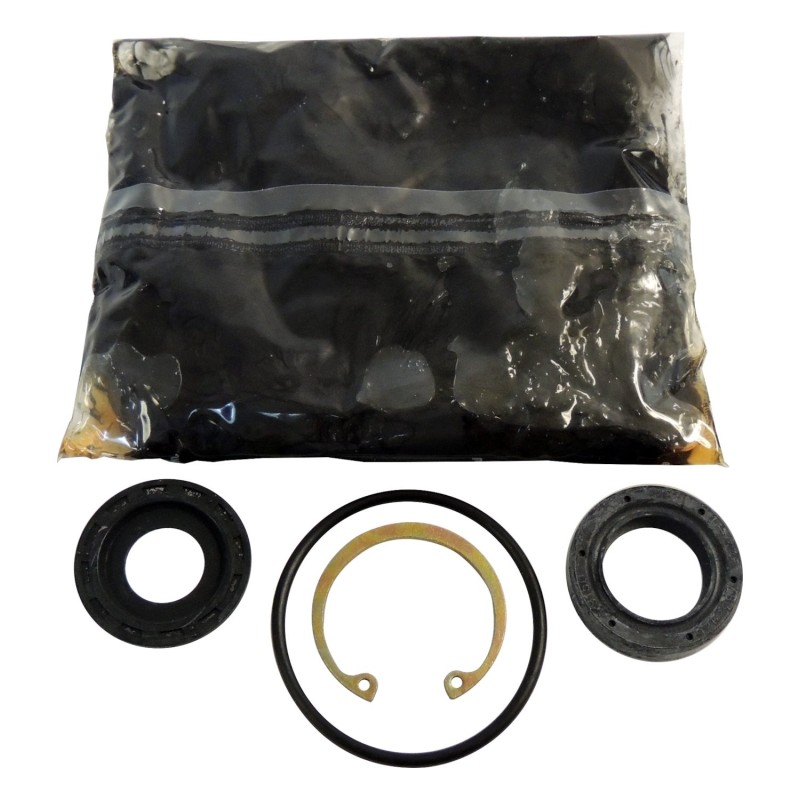 Steering Box Seal Kit J8130157