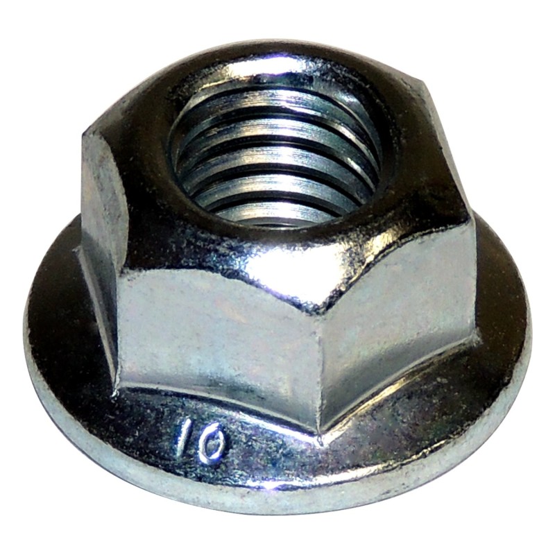 Noix 6502696