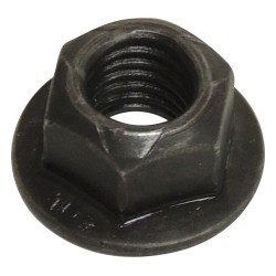 Noix 6503648