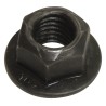 Noix 6503648
