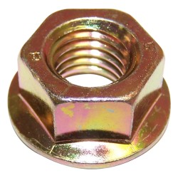 Noix 6502697