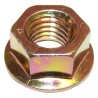 Noix 6502697