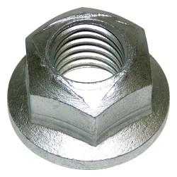 Noix 6502698