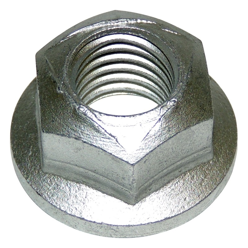 Noix 6502698